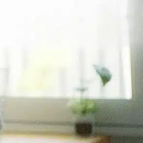 アクティブな仏さま