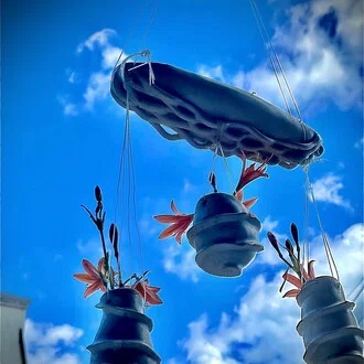 jiji.momo