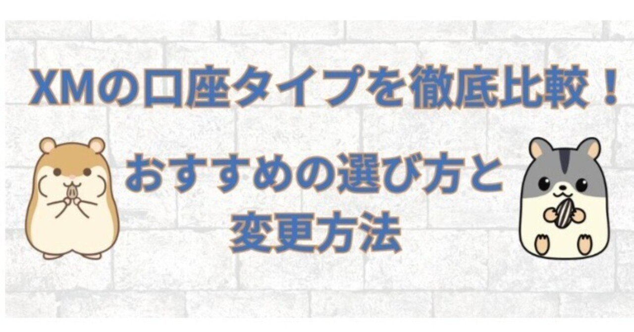 XMの口座タイプ4種をサクッと比較｜初心者はどれを選ぶ？｜ハム吉（海外FXに関する有益な情報を発信）