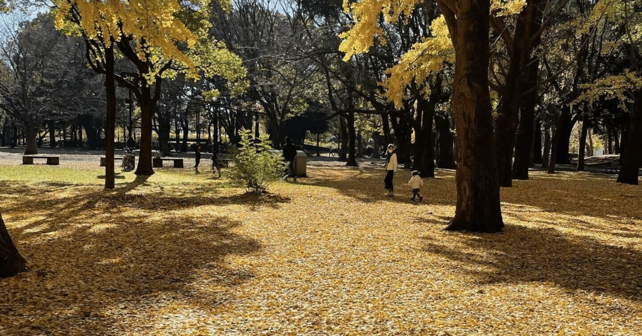 秋の散歩道 秋の散歩道の写真・画像素材-Snapmart（スナップマート）