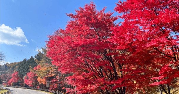 中山みき研究ノート 1-1 はじめに｜櫟本分署跡保存会