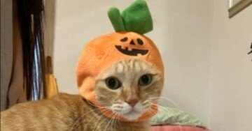 3a32440b5cdd54e1f95332e307d7b9