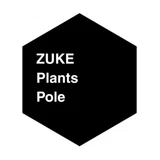 亀甲竜などの観葉植物を“支柱”で魅せる。センスのある部屋をつくるコツ