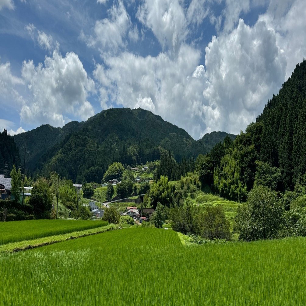 がいあ先生に会いに行く meguri trip「木を食べよう」｜ふるさとLIFE