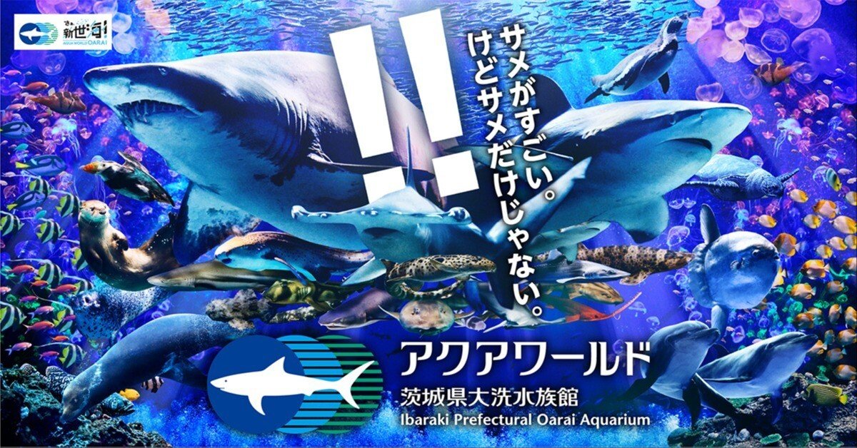 アクアワールド茨城県大洗水族館へ | 大洗はサメがすごい！？ 🦈｜かぬ