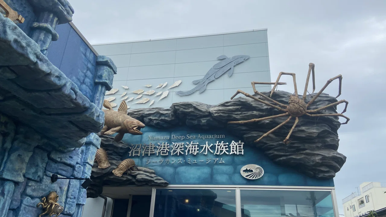 娘が「タカアシガニが見たい」と言ってたので、沼津港深海水族館に行っ