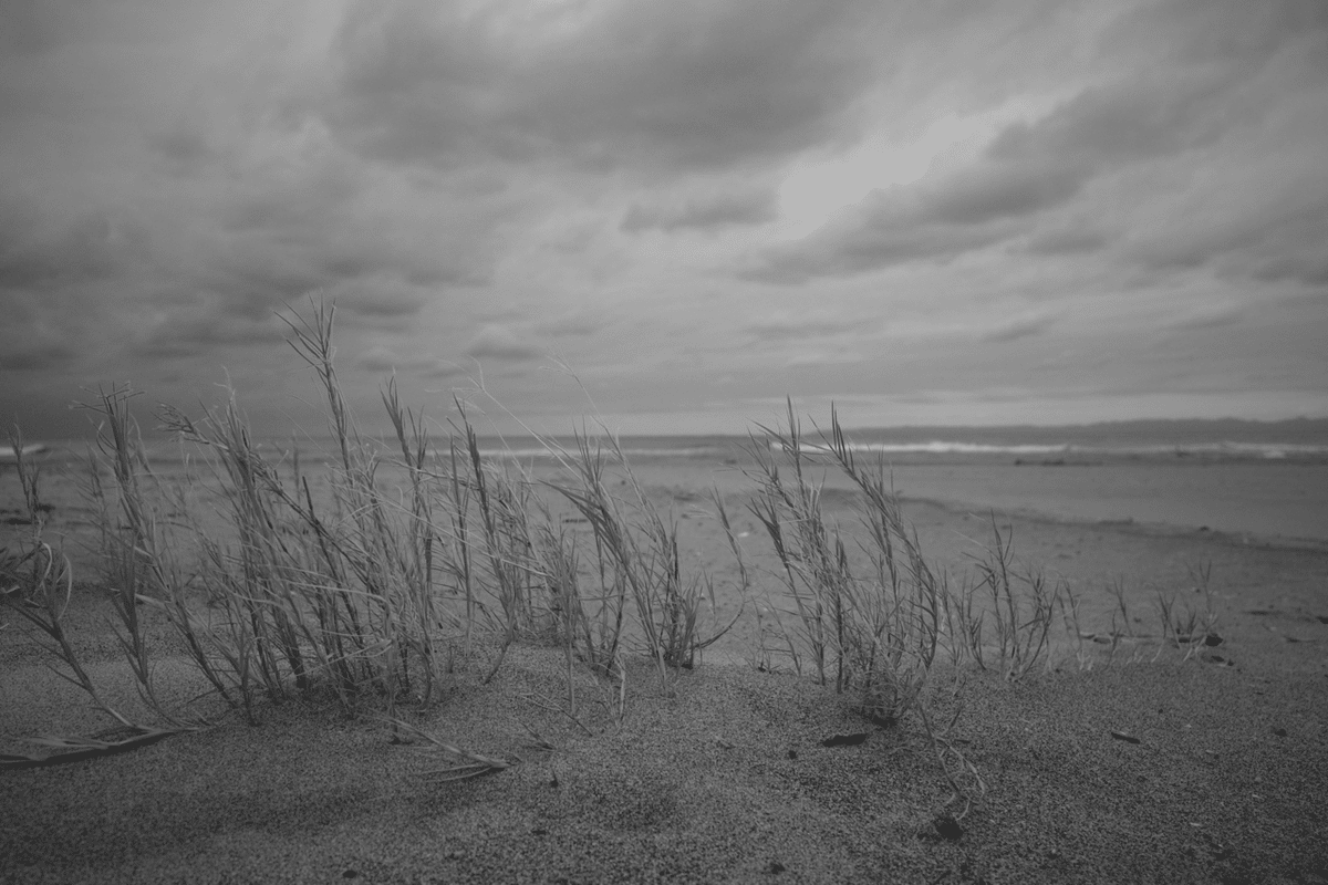 海辺の風景 #4 : GR Ⅳ｜depthbrew ( 潟切 )