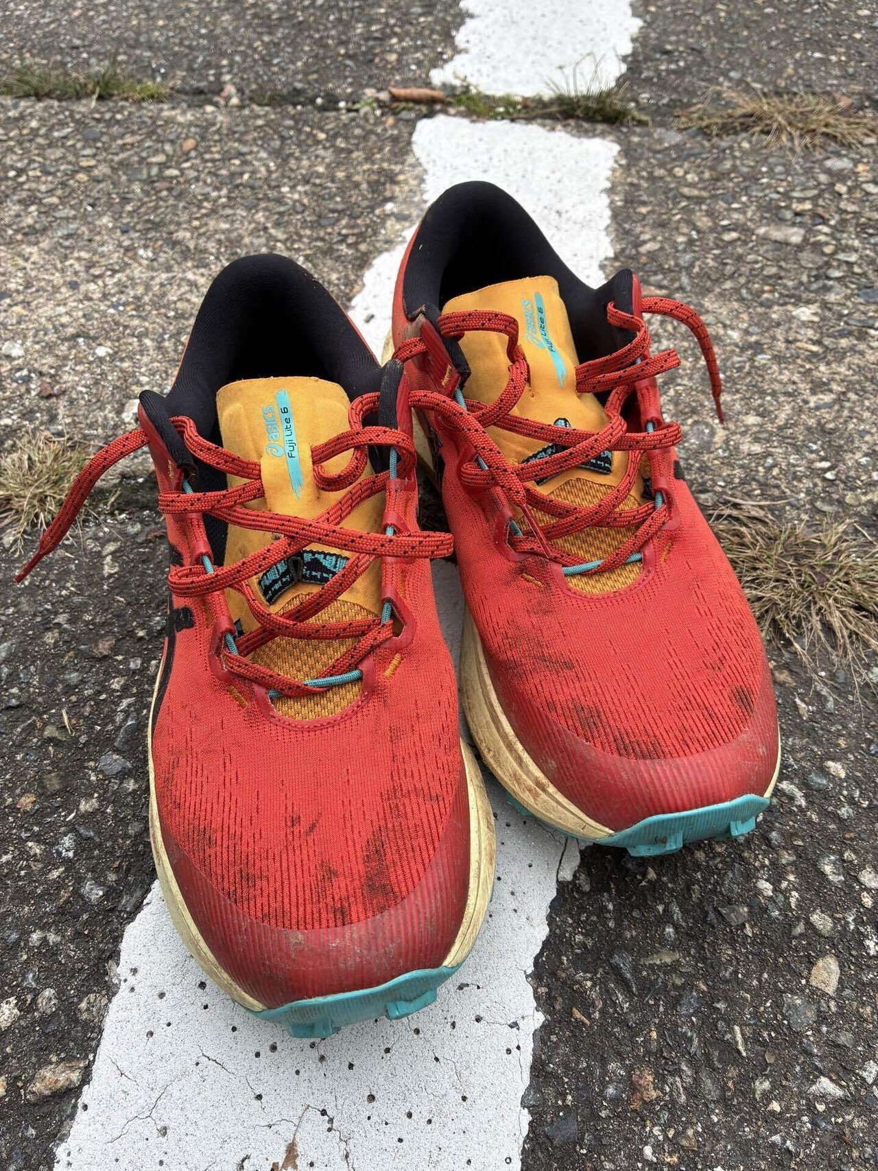 実走レビュー】アシックス FUJI LITE 6：グリップ力と反発力が進化した