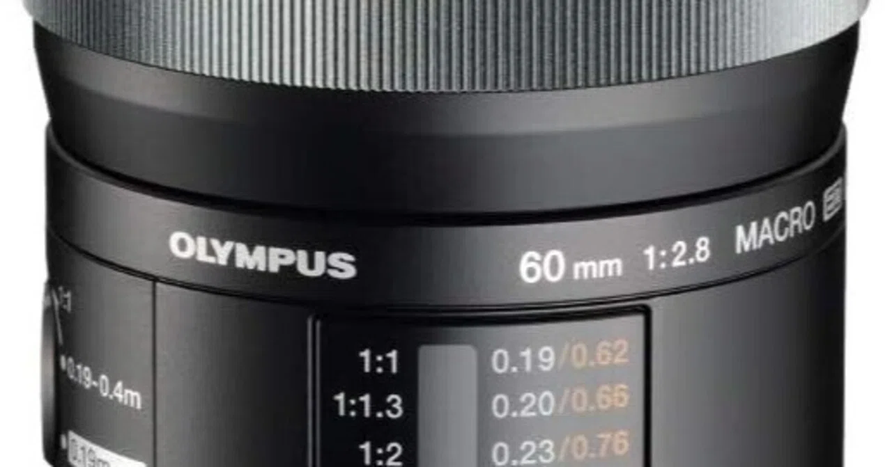 マクロ撮影の世界を変える一本|OLYMPUS M.ZUIKO ED 60mm F2.8 Macro マクロ撮影の世界を変える一本|OLYMPUS M.ZUIKO ED 60mm F2.8 Macro