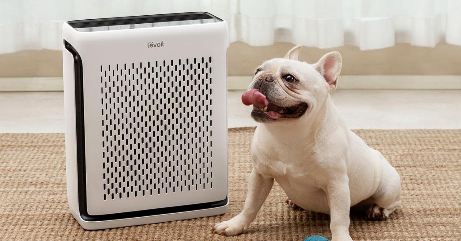空気清浄機【強力脱臭モデル】おすすめ3選を徹底比較。ペット臭・生活