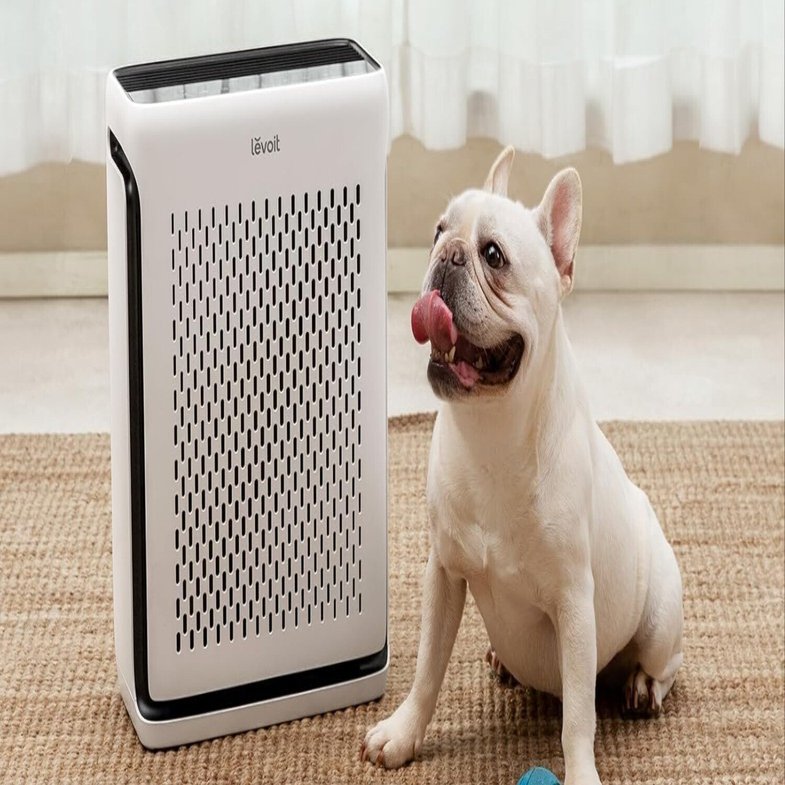 空気清浄機【強力脱臭モデル】おすすめ3選を徹底比較。ペット臭・生活