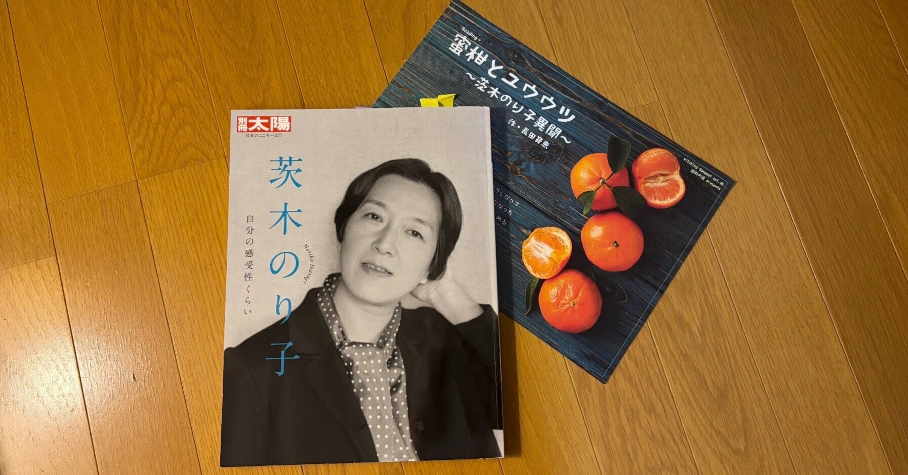 蜜柑とユウウツ】茨木のり子さんの詩ってね…。｜witchaki