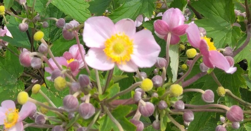 中央だべりサロン