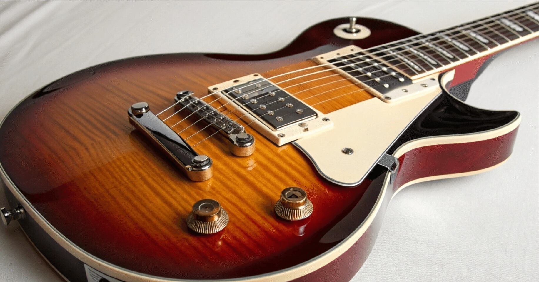 初心者の時の話】はじめてのギターBlitzのレスポールタイプについて