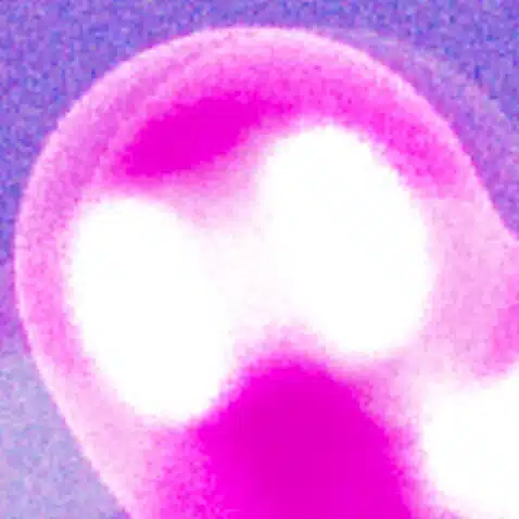 ɦყ(ﾊｲ)