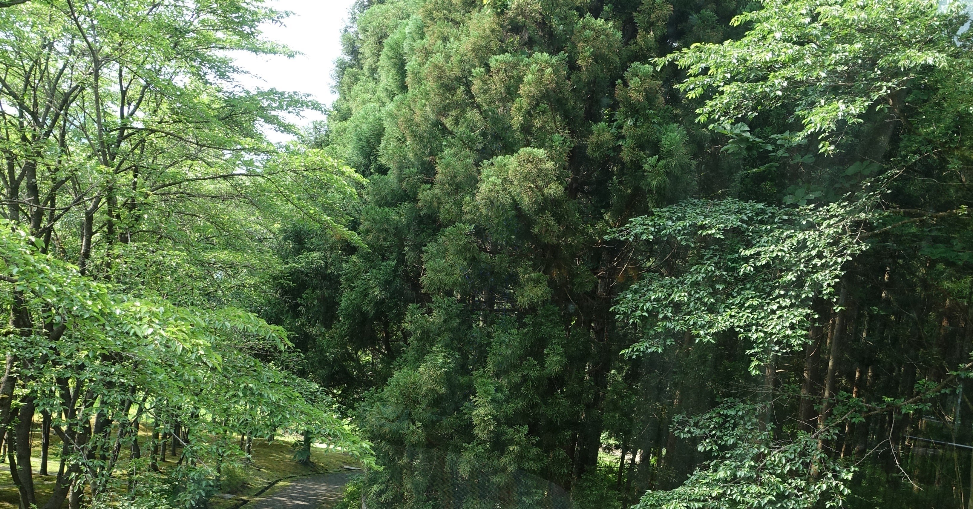失業保険の申請にいってきた｜りょくちゃわり｜note