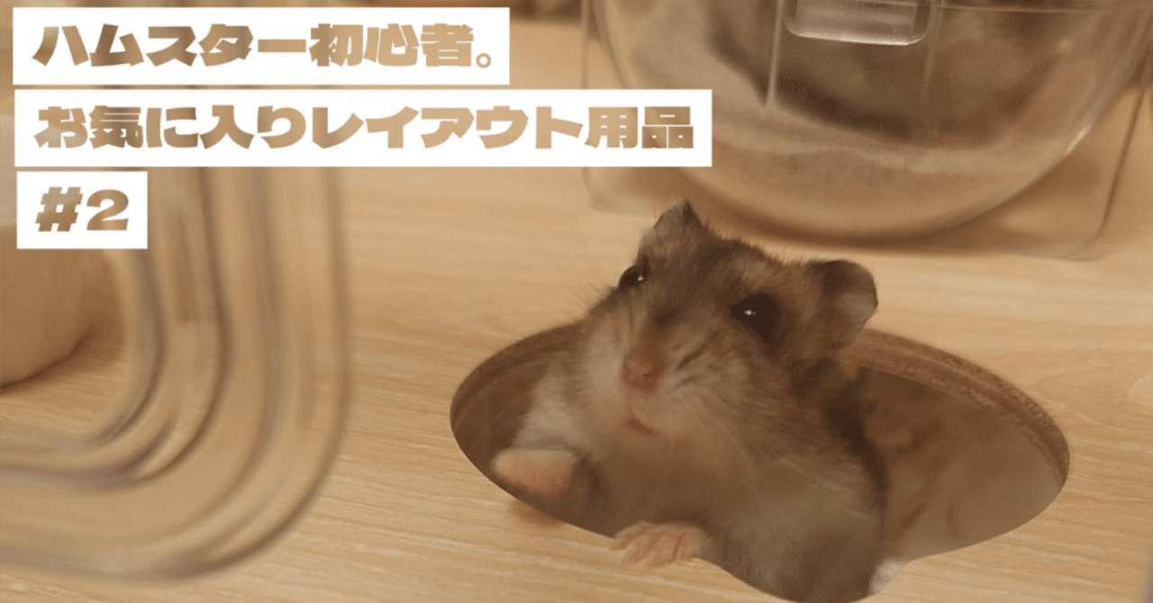 ハムスターの床下BOXレビュー】理想の地下生活を夢見た下僕と
