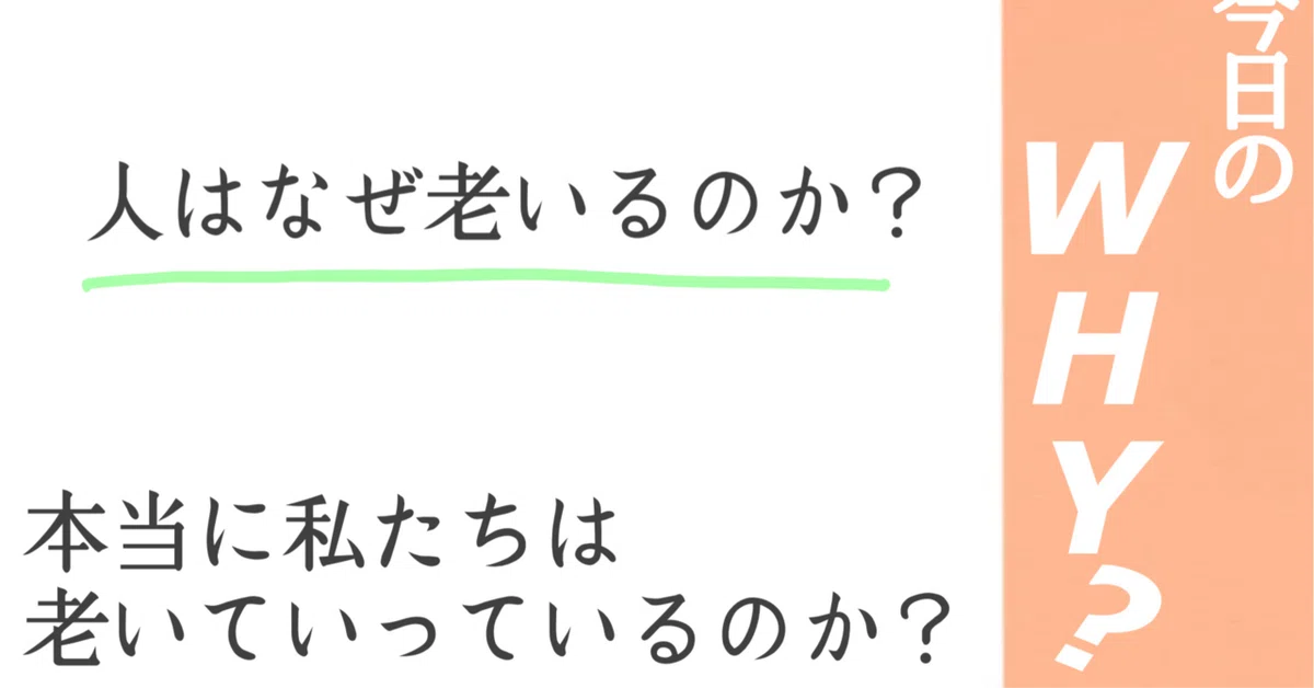 今日のWhy?人はなぜ老いるのか?🍑桃汰🍑|WabiSabi MIU∞TOTA