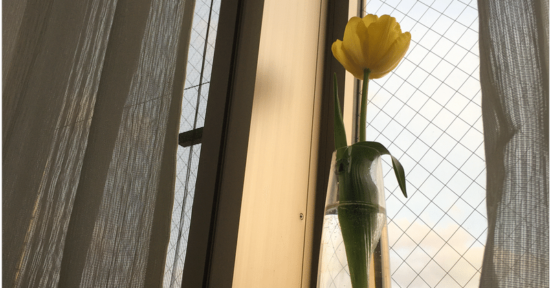 011 柳の木のような人と言われて こくぼ さおり note