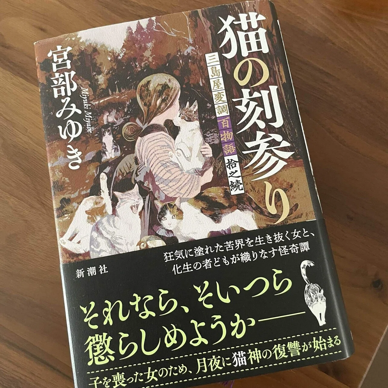 宮部みゆき 猫の刻参り｜sweetmarron店主の小部屋