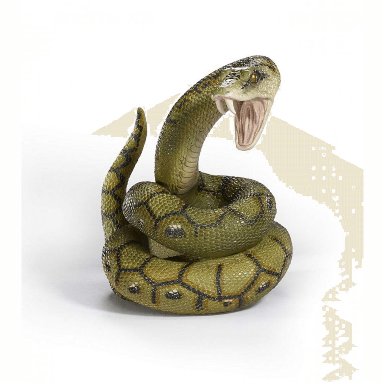 蛇のシンボル (英単語一つで人生の本質が学べる！ 18)｜ばっつも