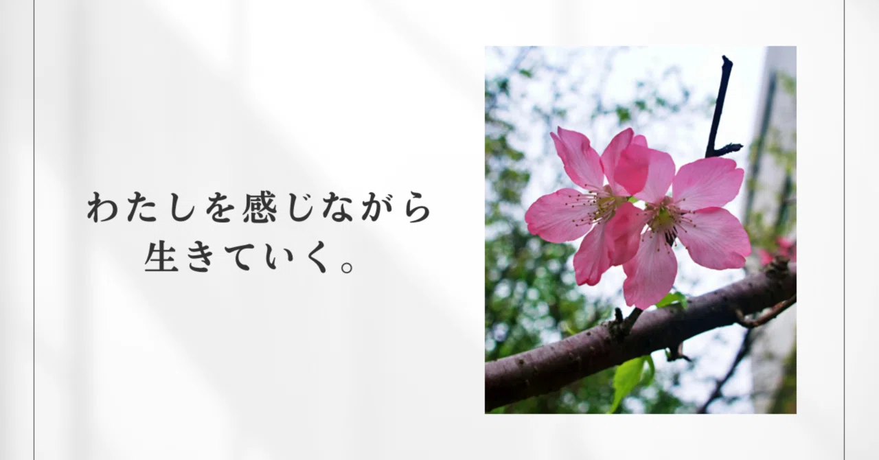 わたしを感じながら、生きていく。|さかい のりこ