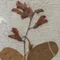 書人不知