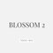 Blossom2 JP→US