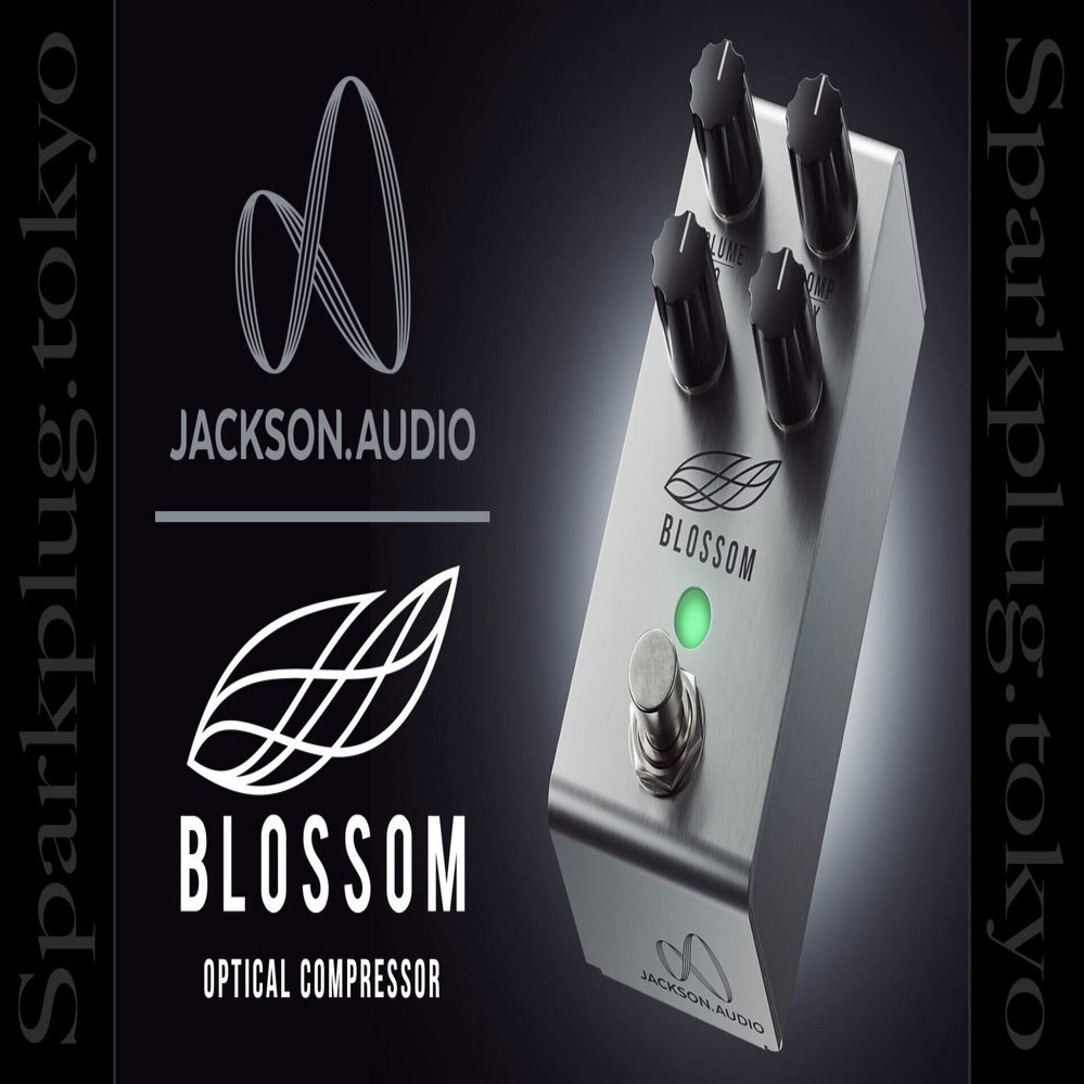 3Leaf Audio PWNZOR オプティカルコンプレッサー 3Leaf Audio PWNZOR オプティカルコンプレッサー PWNZOR Optical