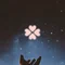 星空 志音｜毎日投稿650日目