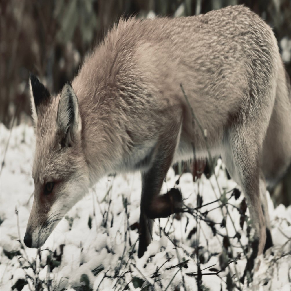 初秋の旅2025 Day 21｜田中稔彦