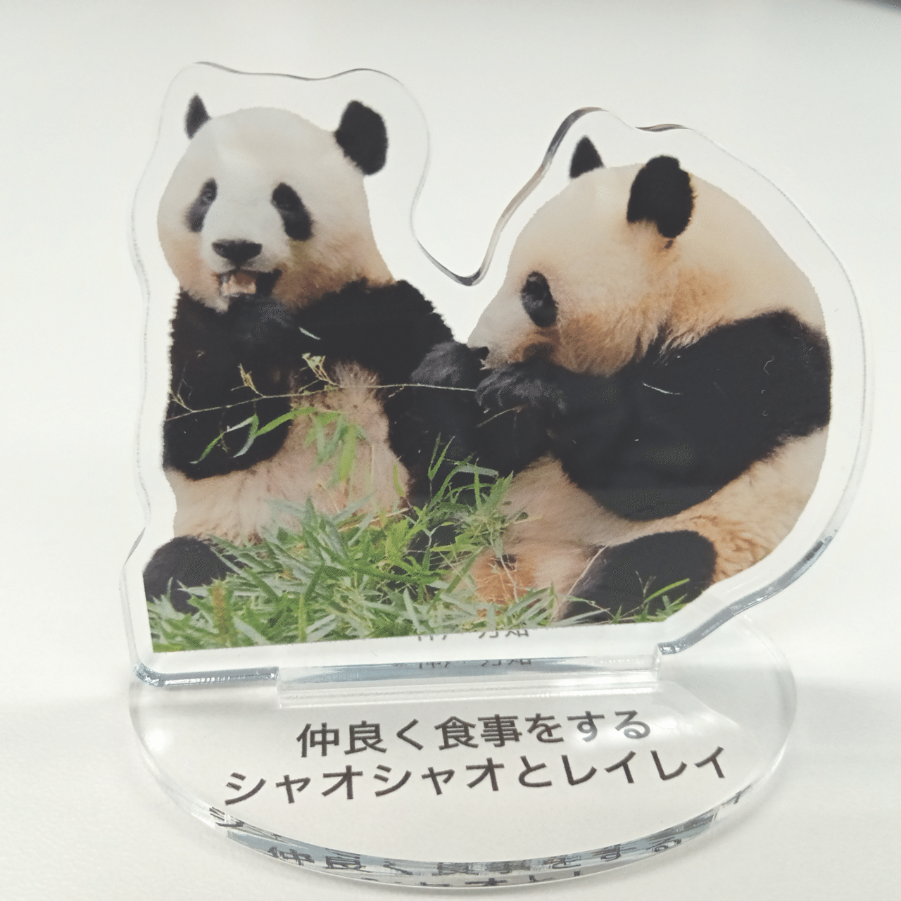 12月2日(火)に『あふれる笑顔！双子パンダシャオシャオ＆レイレイ