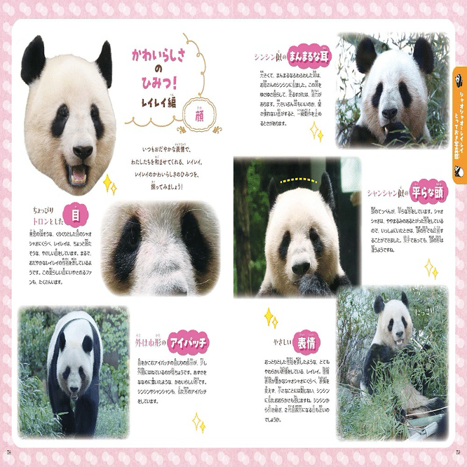 シャオシャオ&レイレイおはなし 12月2日(火)に『あふれる笑顔！双子パンダシャオシャオ＆レイレイ