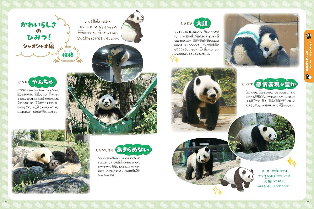 シャオシャオ&レイレイおはなし 12月2日(火)に『あふれる笑顔！双子パンダシャオシャオ＆レイレイ