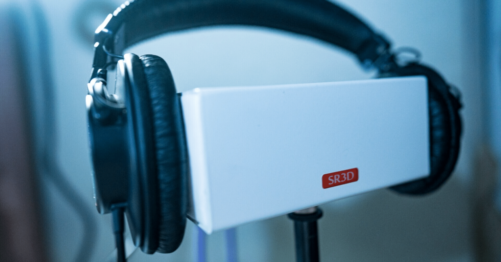 資金調達の内幕と450ドルの底値の裏にある真実｜GARU