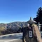 うたゆかり