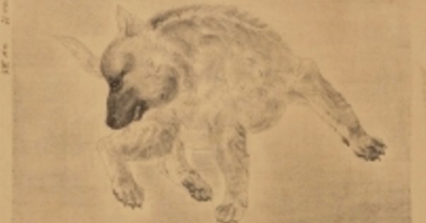 村田なつか　原画　2連作品　ジグレー版画　No.入り　柴犬　猫 村田なつか 原画 2連作品 ジグレー版画 No.入り 柴犬 猫 Amazon