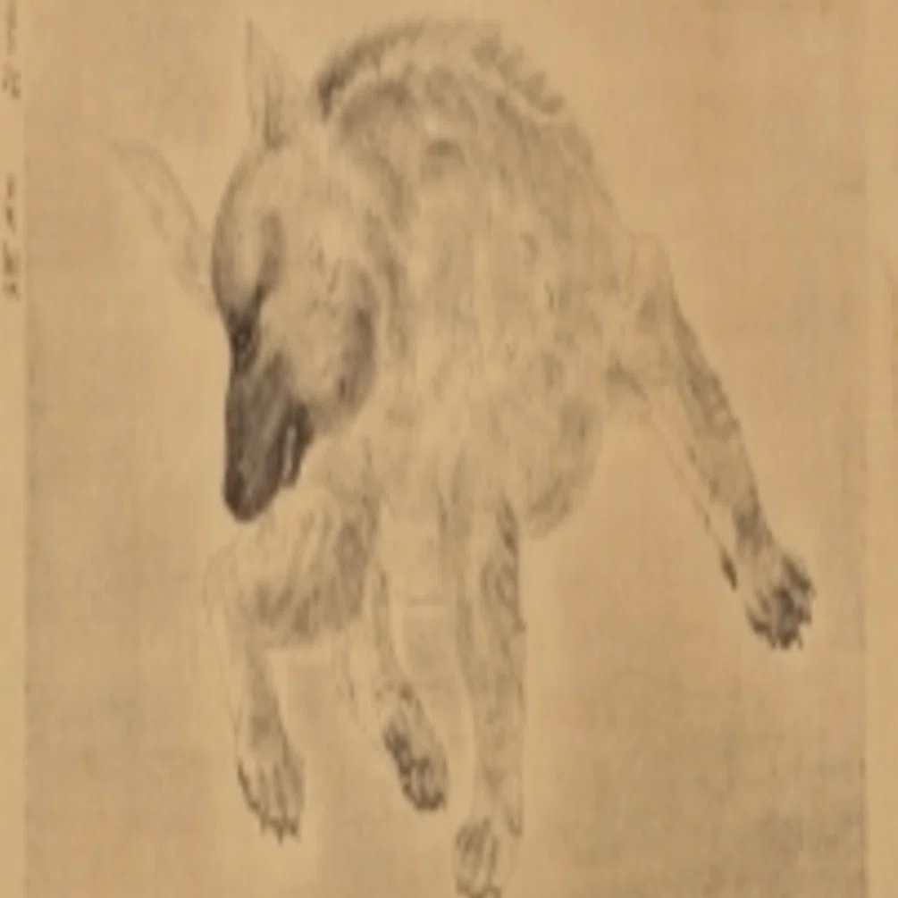 藤田嗣治（Léonard Foujita）】─フジタと犬。——あの猫たちの横で静か