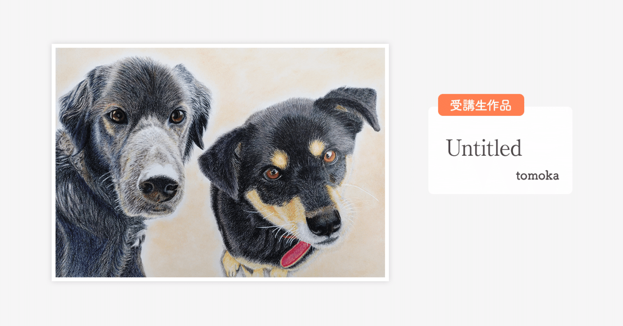 うちの子たちと描く温かな日々と、笑顔を生む挑戦｜ラフ株式会社