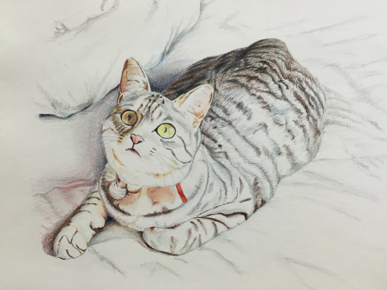日々雑感】昔描いた色鉛筆画｜構造体N