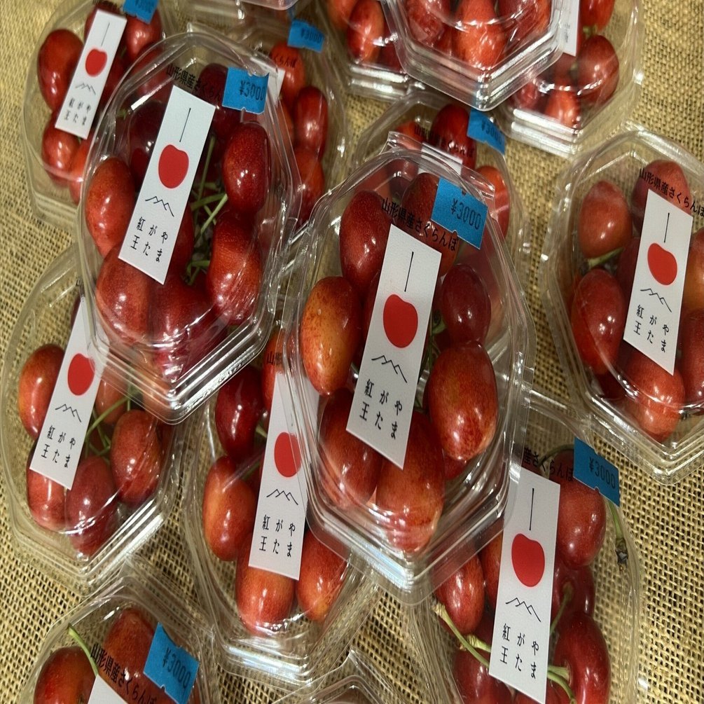 逆襲の団塊ジュニア Day78 チェリー｜KO