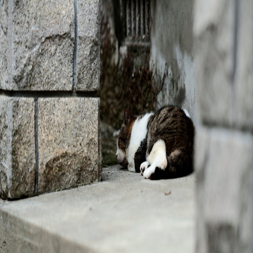 断捨離｜四月卯月