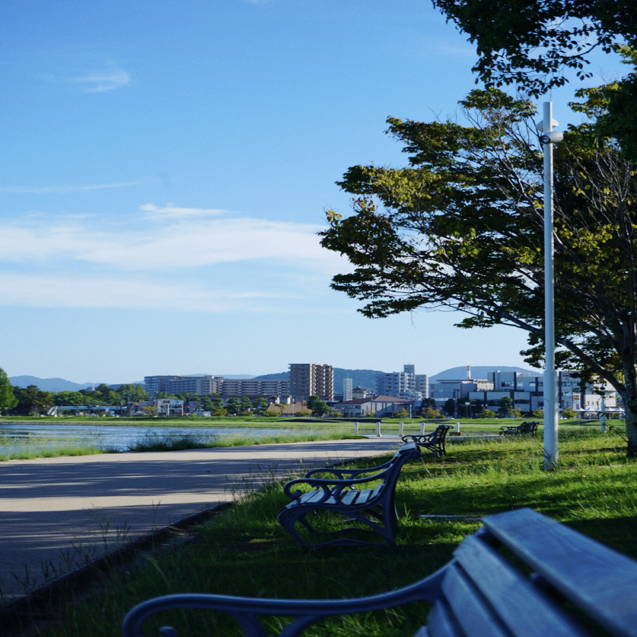 琵琶湖にて読書時間｜空、はてしない青｜misaki｜散歩日和 3/1(日