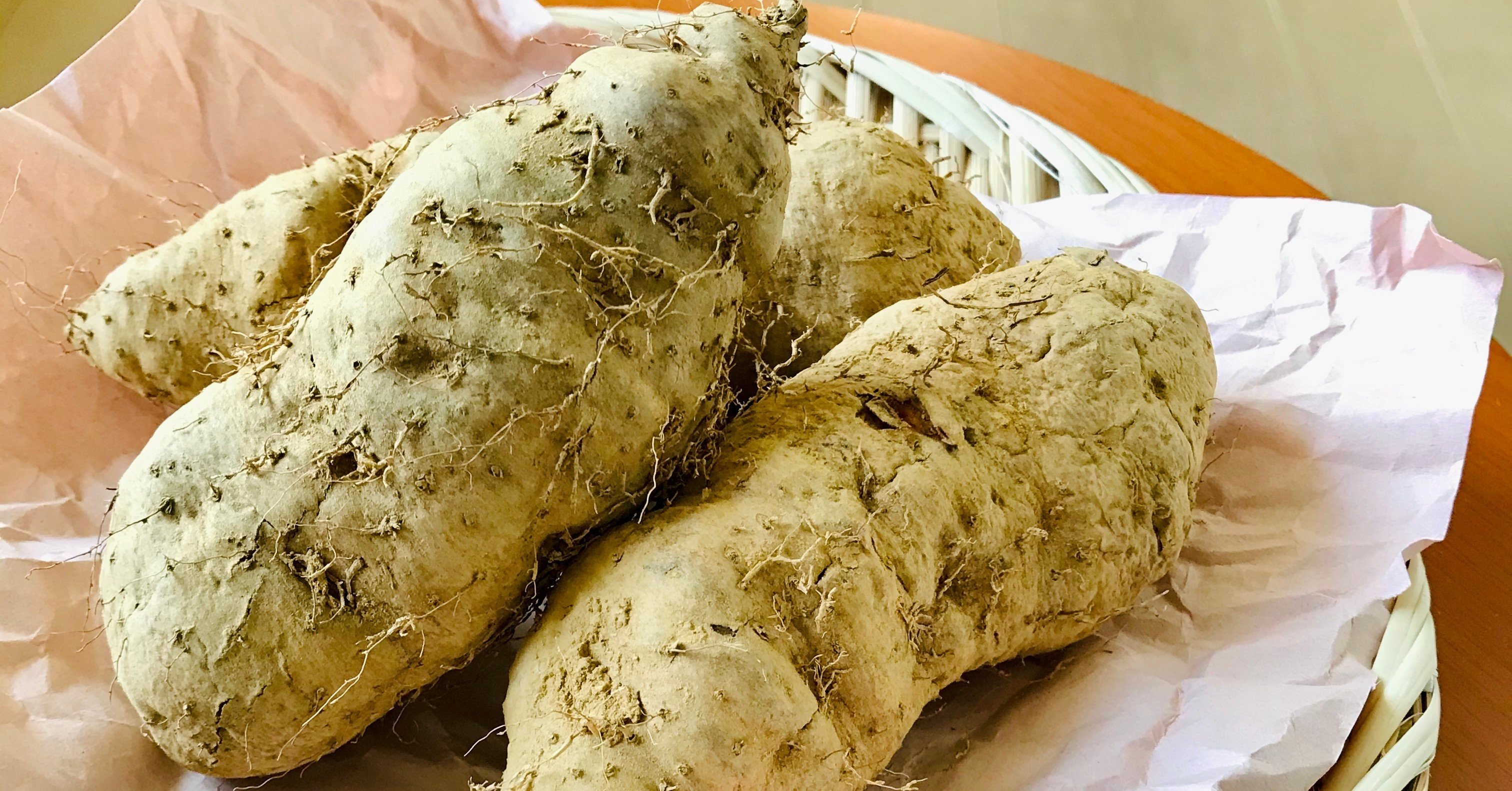 沖縄 幻の在来山芋 クーガ芋 3 最終回 玉城久美子 沖縄 食 暮らし Note 沖縄 幻の在来山芋 クーガ芋 3 最終回 玉城久美子 沖縄 食 暮らし Note