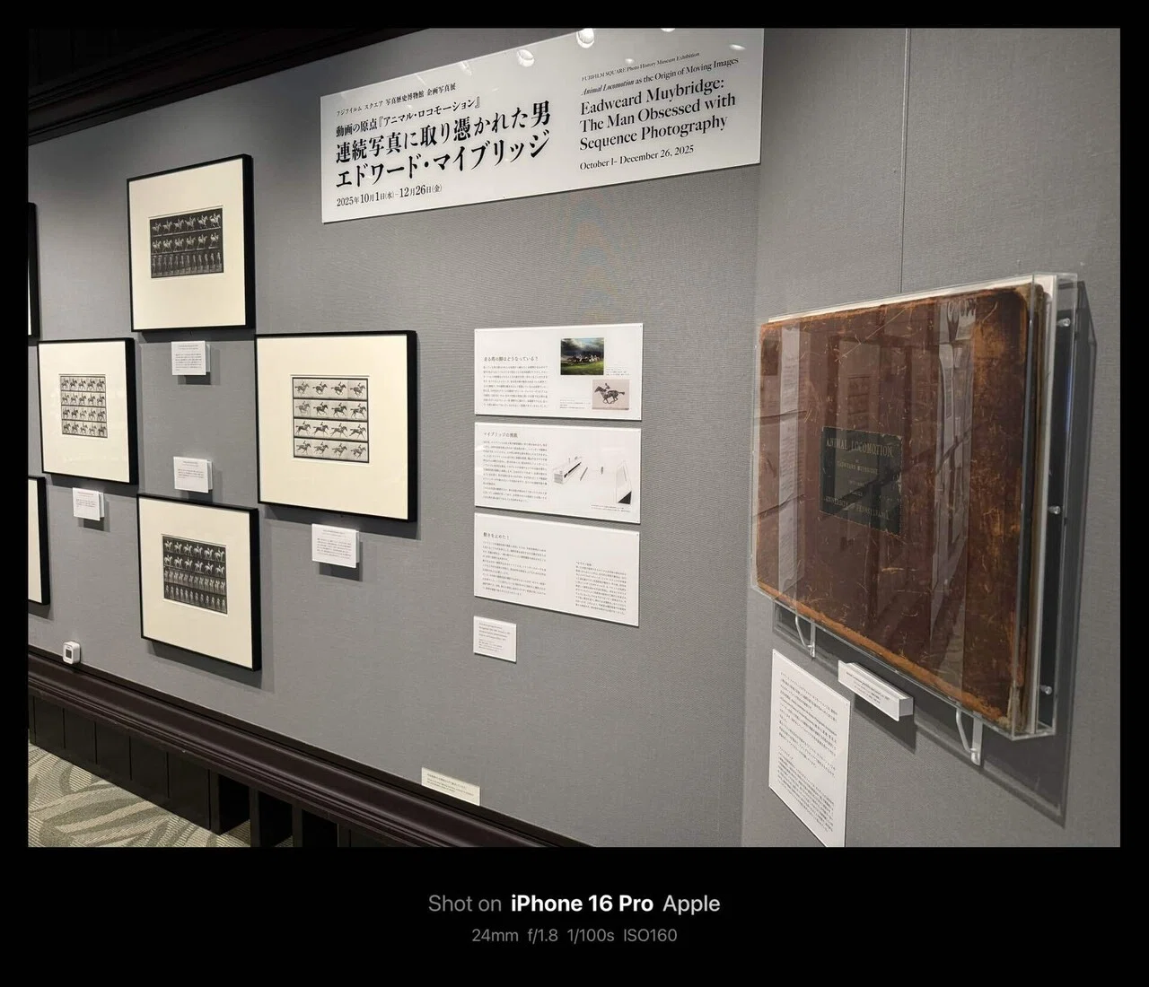 連続写真に取り憑かれた男 エドワード・マイブリッジ」@フジフイルム