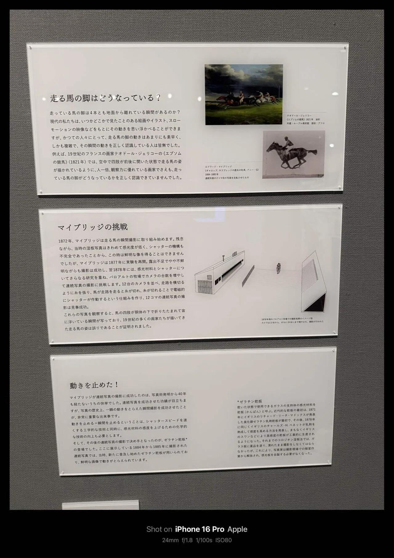 連続写真に取り憑かれた男 エドワード・マイブリッジ」@フジフイルム