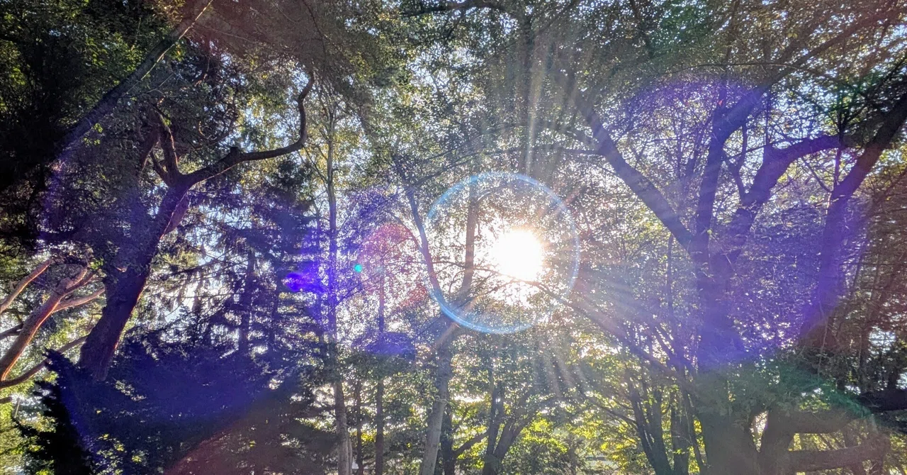 A Gentle Time of Drawing Closer and Creating a Shared Path | Libra New ...