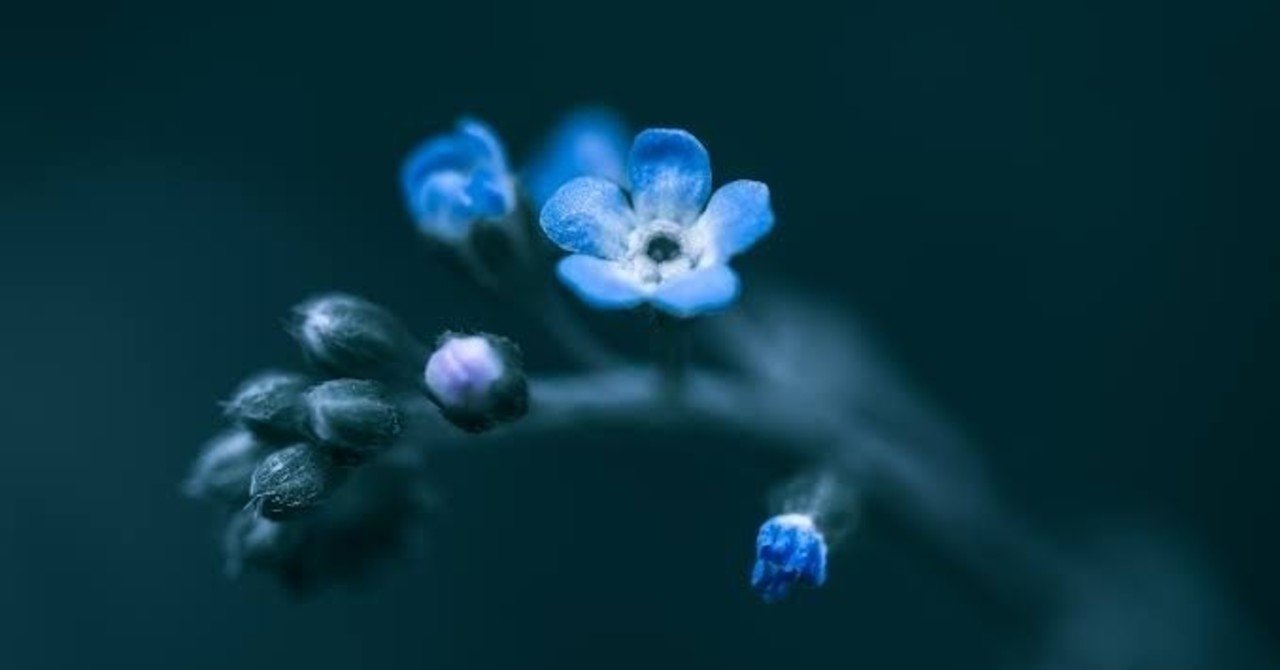 夜をうたう 歌詞とコード 波子 Note