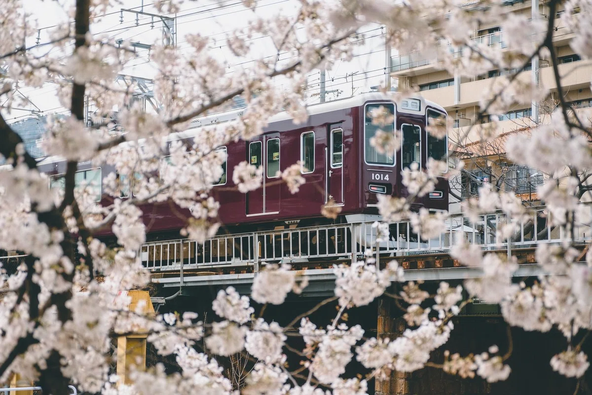 画像13