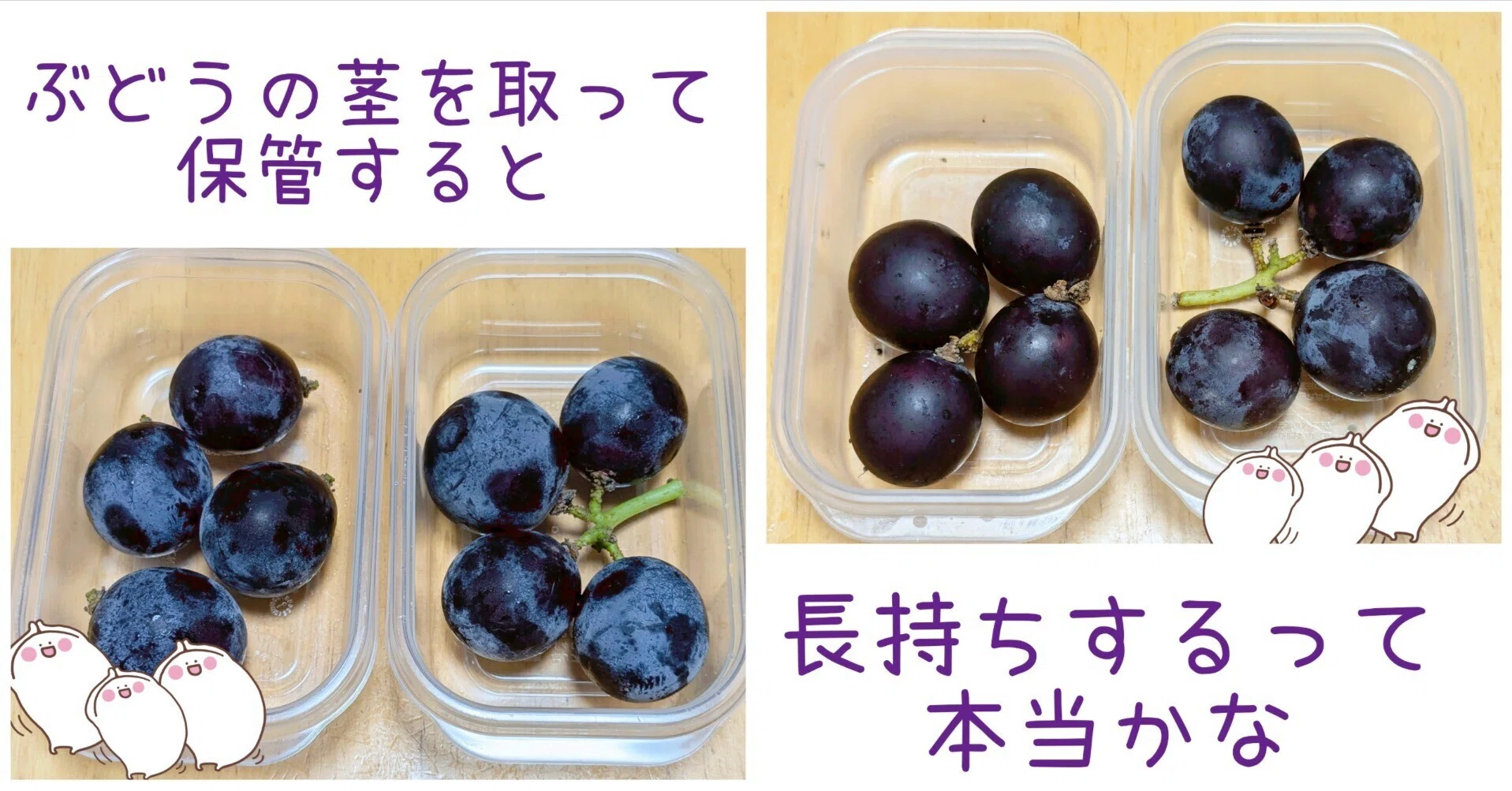 ぶどうの茎を切り取って保管すると長持ちすると聞いたので、1ヶ月間